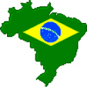 Brazil soccer t-shirts l75