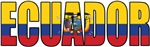 Ecuador soccer shirt d876
