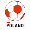 Poland soccer shirt d131