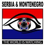 Serbia and Montenegro soccer shirt d488