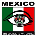 Mexico soccer shirt d756