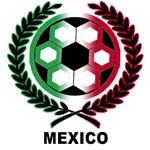 Mexico soccer shirt d123