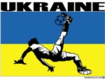 Ukraine football shirt d987